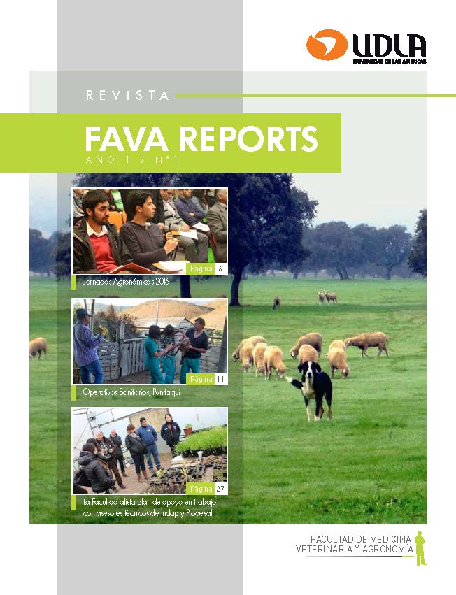 Revista FAVA Nº1